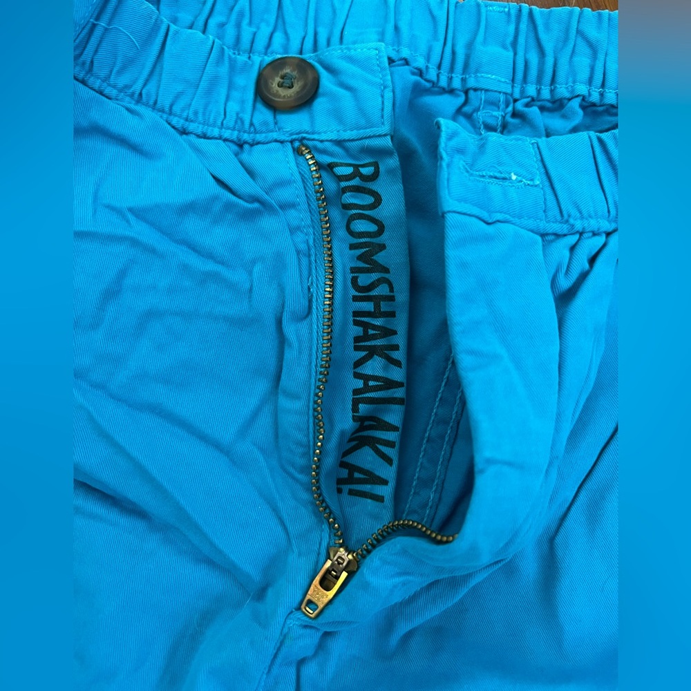 Chubbies Shorts
